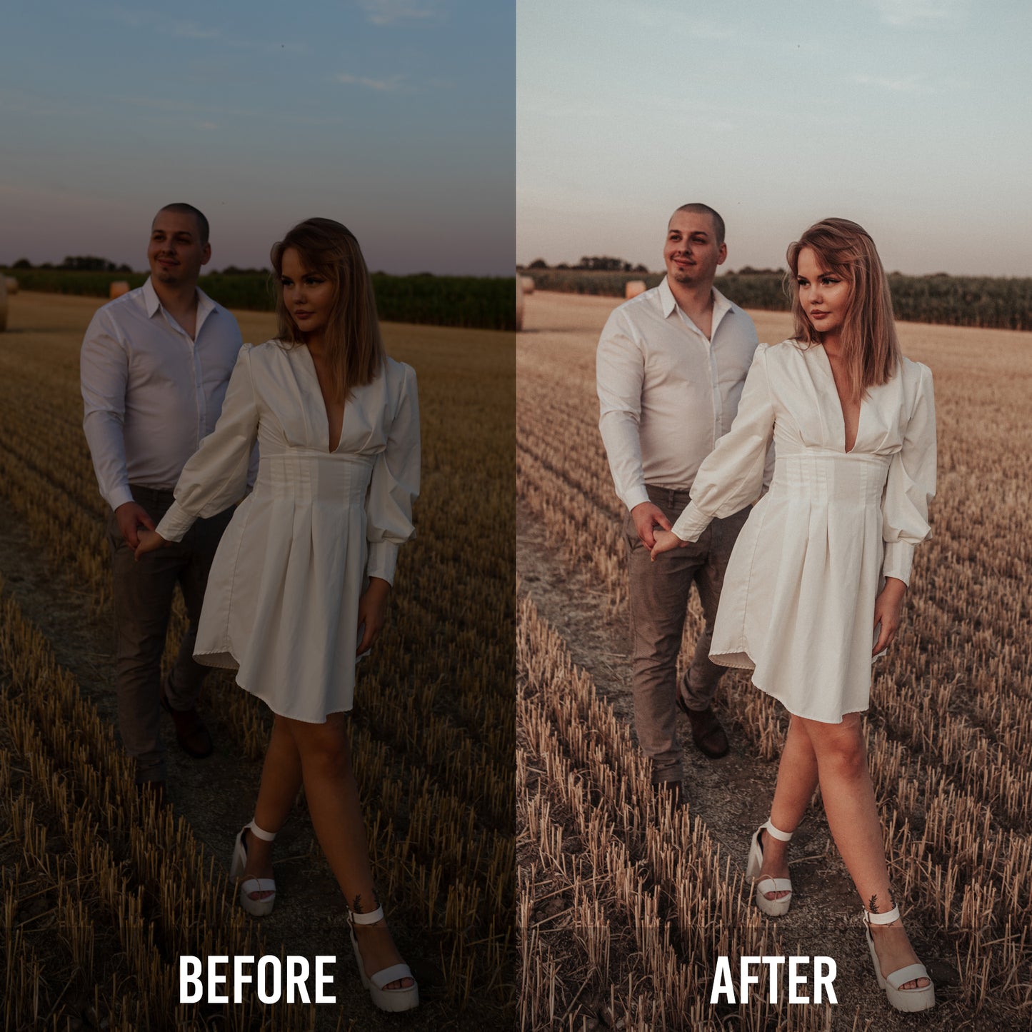 Signature Presets by Denise Hesmer