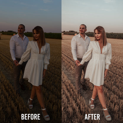 Signature Presets by Denise Hesmer