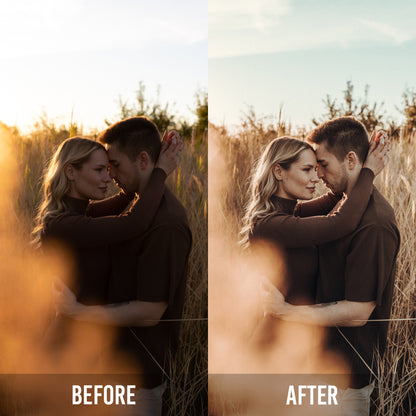 Signature Presets by Denise Hesmer