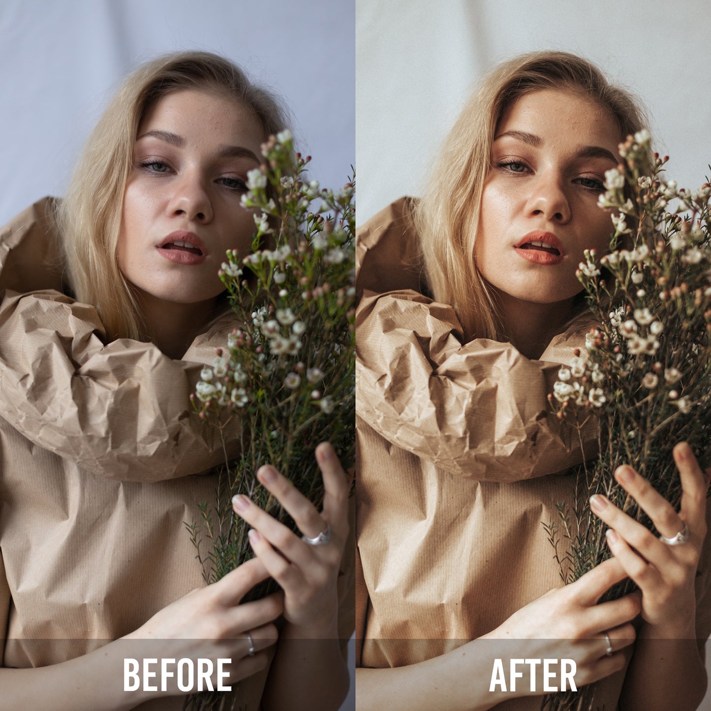 Signature Presets by Denise Hesmer